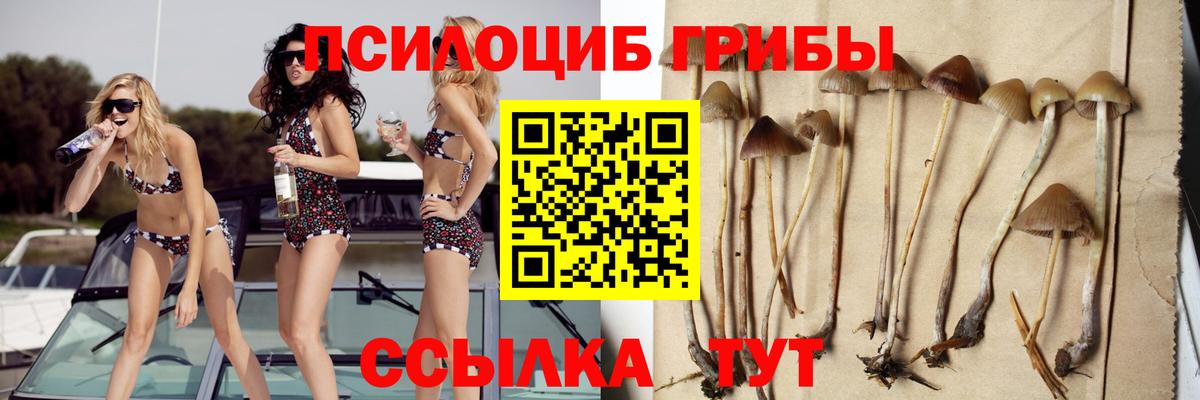 Галлюциногенные грибы прущие грибы Партизанск