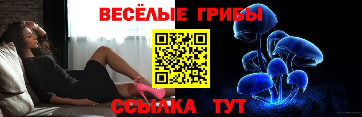 Галлюциногенные грибы мицелий  Псилоцибиновые грибы Magic Shrooms  Вход с VPN  Партизанск 